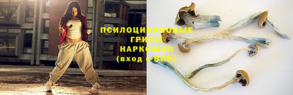 марки nbome Гусь-Хрустальный